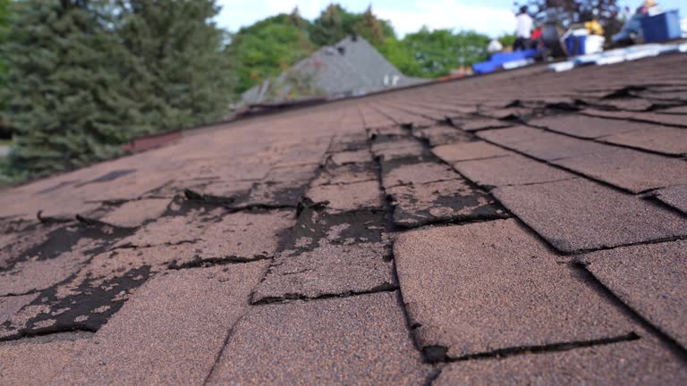 Best 4 Ply Roofing  in Kirbyville, TX