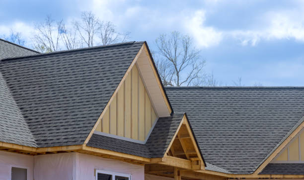 Best Skylight Installation and Repair  in Kirbyville, TX