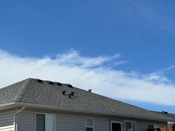 Best Green or Eco-Friendly Roofing Solutions  in Kirbyville, TX